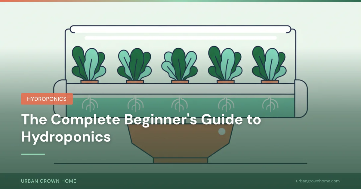 The Complete Beginner's Guide to Hydroponics